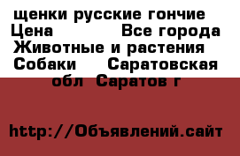 щенки русские гончие › Цена ­ 4 000 - Все города Животные и растения » Собаки   . Саратовская обл.,Саратов г.